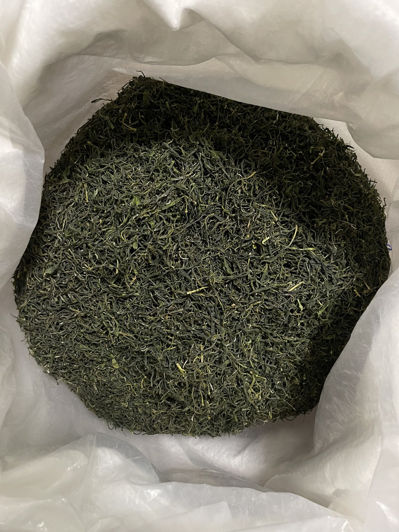 群体高海拔自家收山海拔毛尖种老信阳2022大叶信阳毛尖