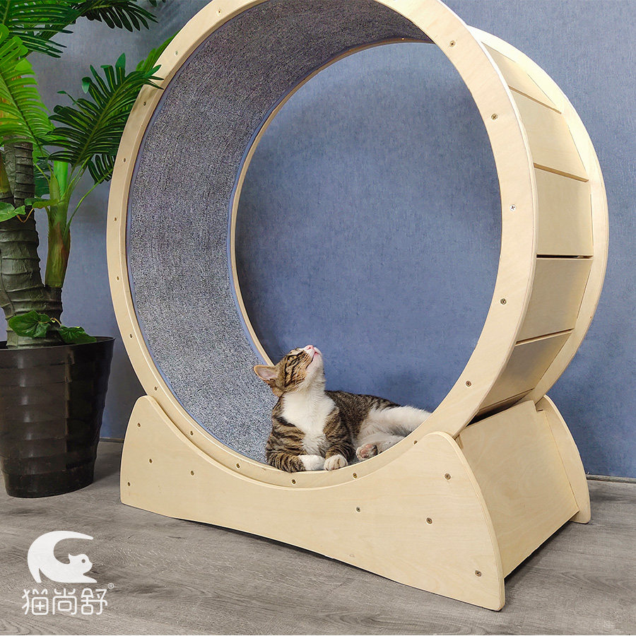 猫咪猫尚舒宠物宠物跑步机滚轮猫跑轮运动跑轮实木猫爬架