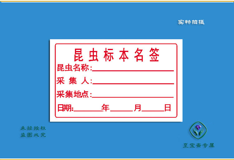 标本昆虫本名定名签台标签捕虫林业普查推荐教学仪器