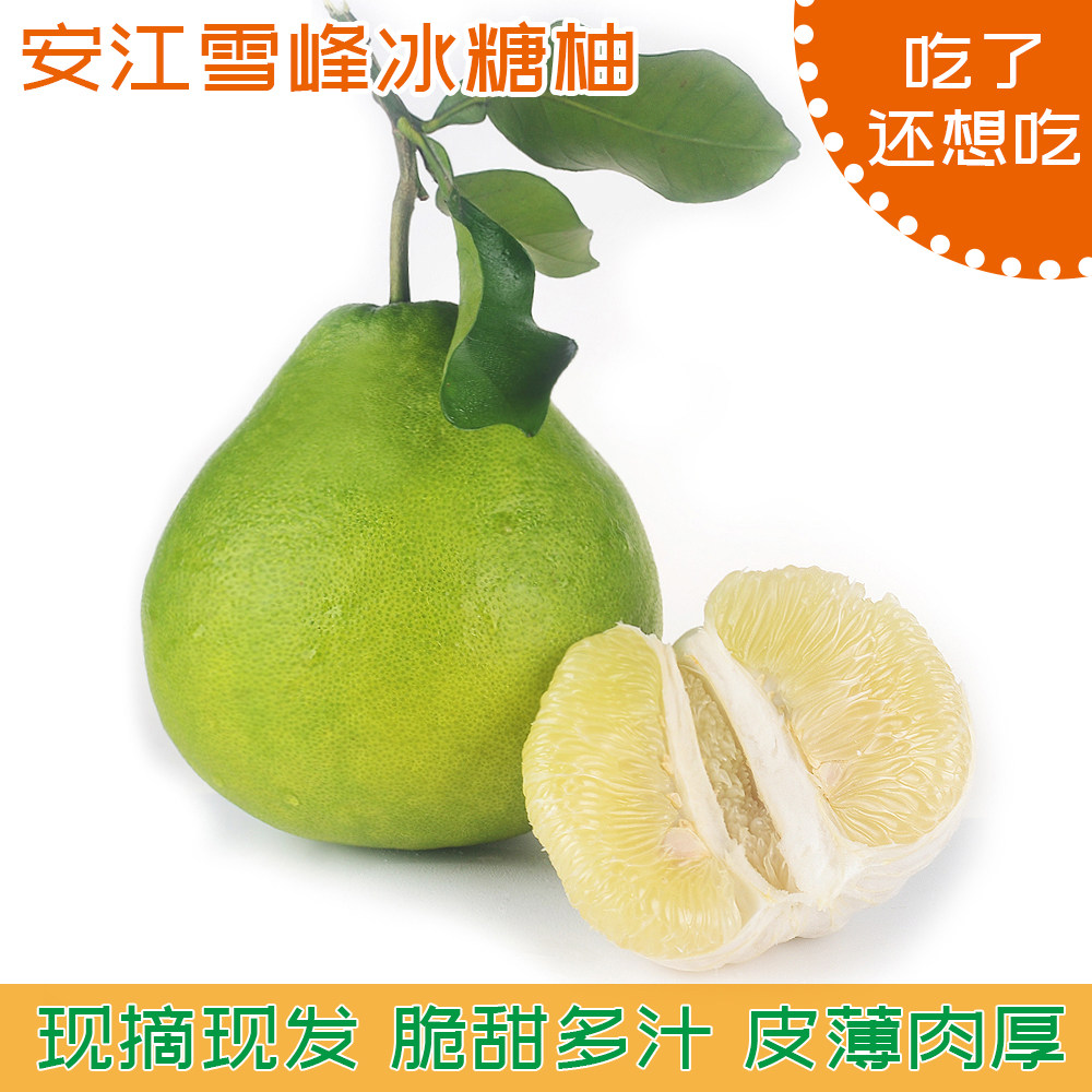 安江冰糖柚雪峰山小苦柚子新鲜水果湖南怀化柚子