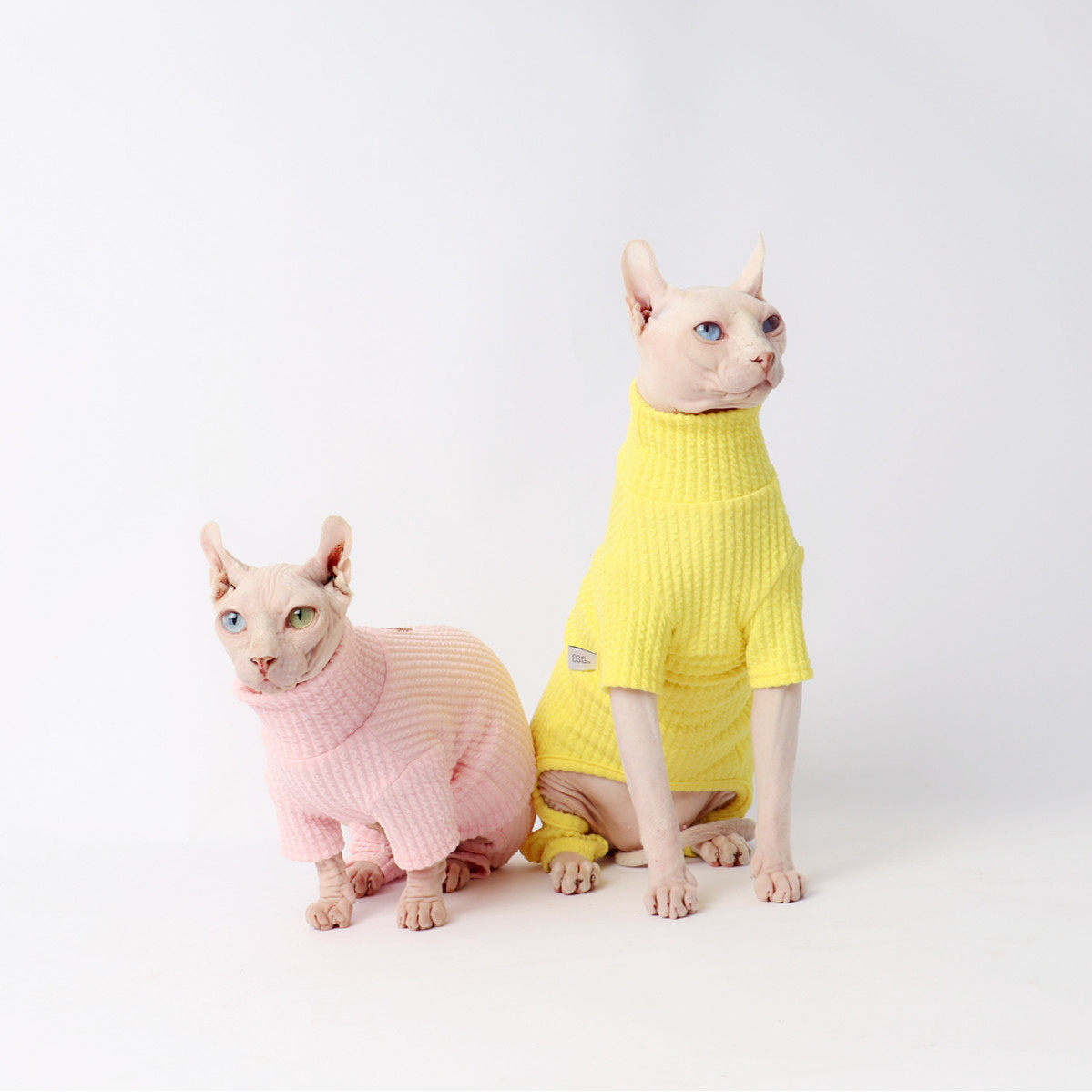 无毛猫衣服 斯芬克 弹性纤维秋冬季保暖四脚打底衫12色可选矮脚适