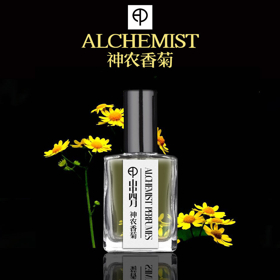 神农山中四月香菊清新君子菊花雏菊野菊还原香水