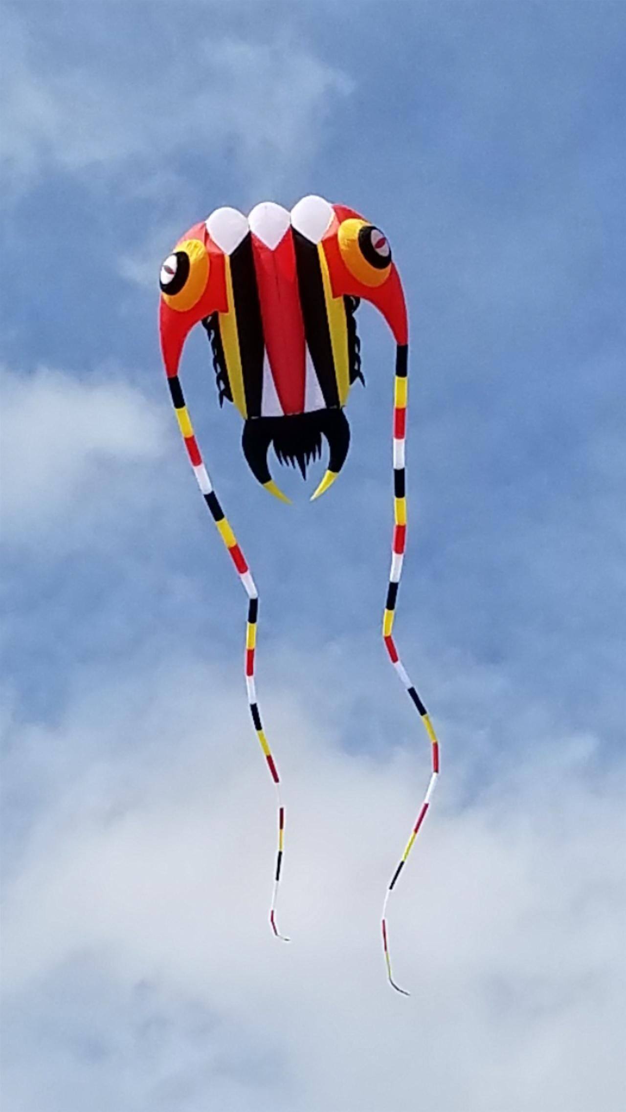 新款正品好飞7平方10三叶虫36软体风筝 潍坊章鱼精灵线具老店包邮