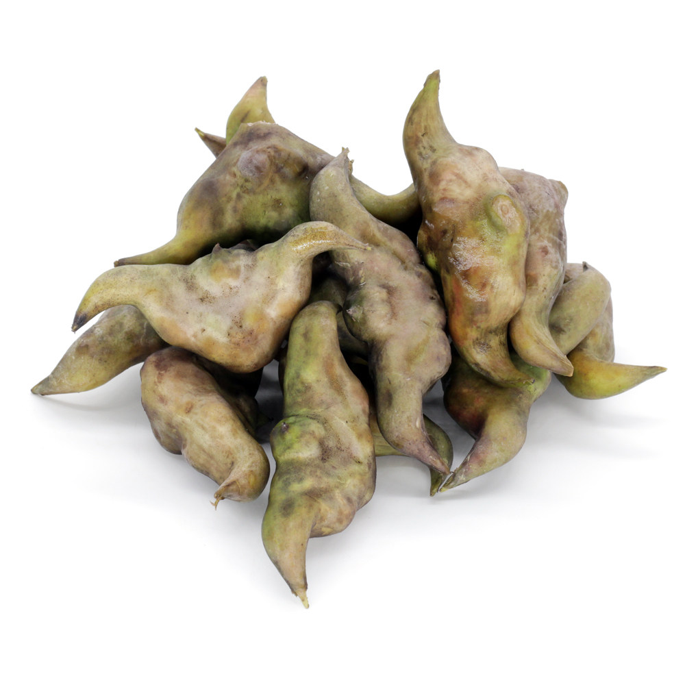 2019洪湖野生新鲜菱角大粉糯老菱角水果蔬菜农家特产零食现摘5斤