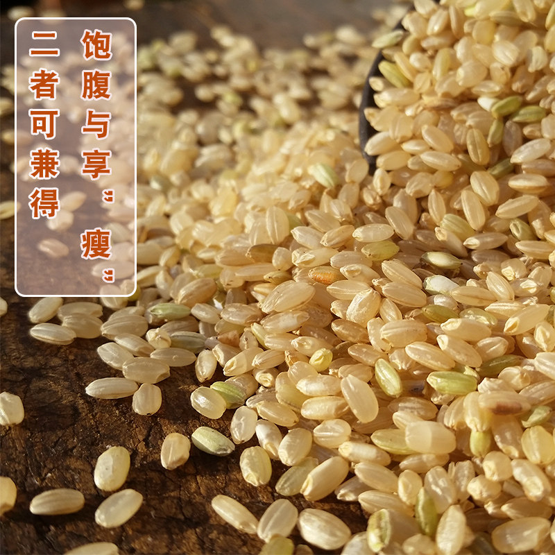 糙米农家新米玄米发芽米饭胚芽健身代餐粗粮糙米
