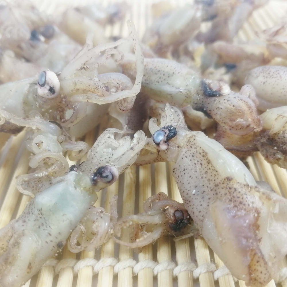 乌贼迷你小墨鱼笔管400g瓦西里墨鱼干