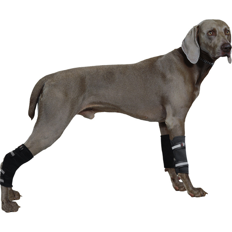 护膝宠物护腿关节炎保护膝盖膝盖骨骨折固定防舔其它服饰配件