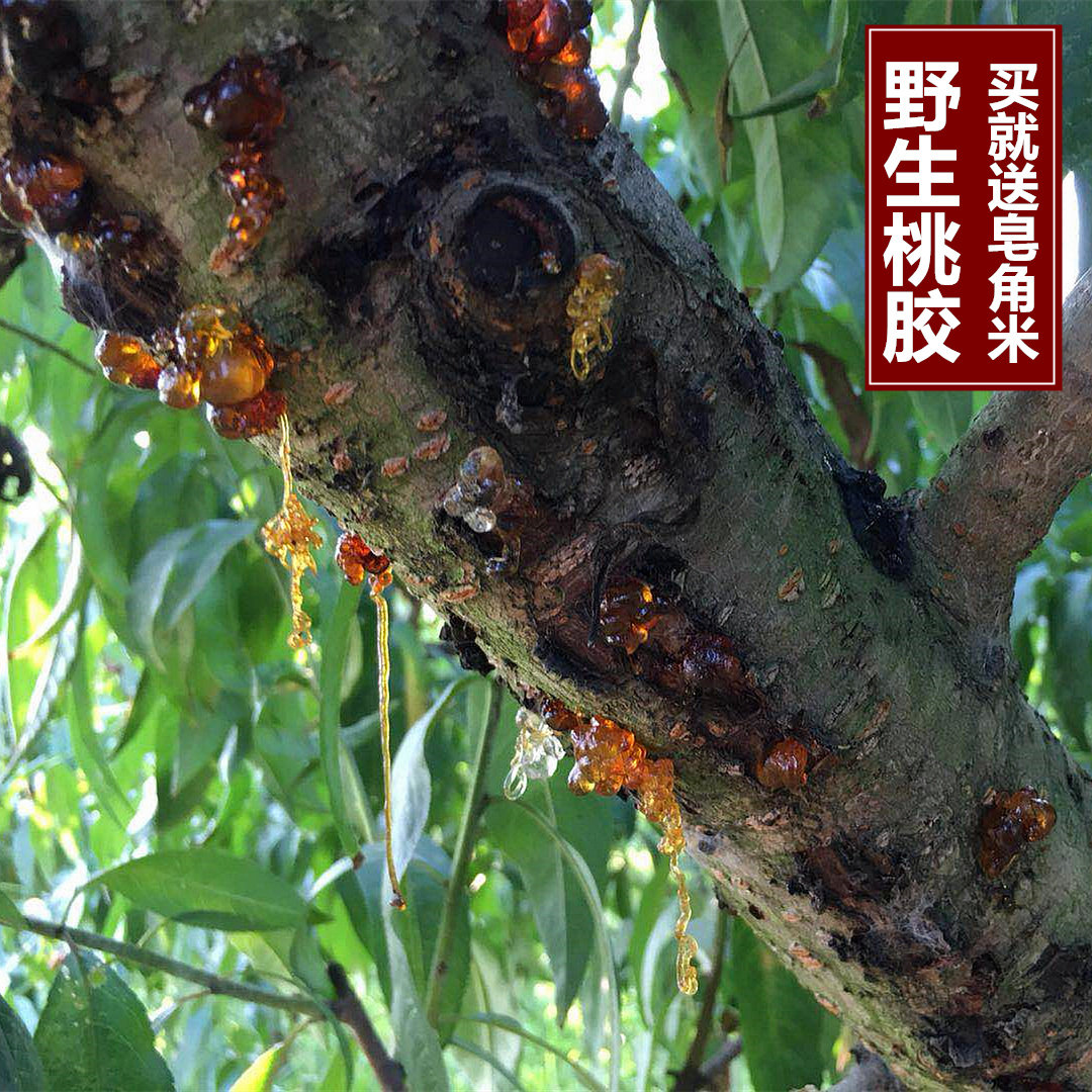 桃胶天然野生食用500g一级桃花泪桃树胶农家干货可组合皂角米雪燕