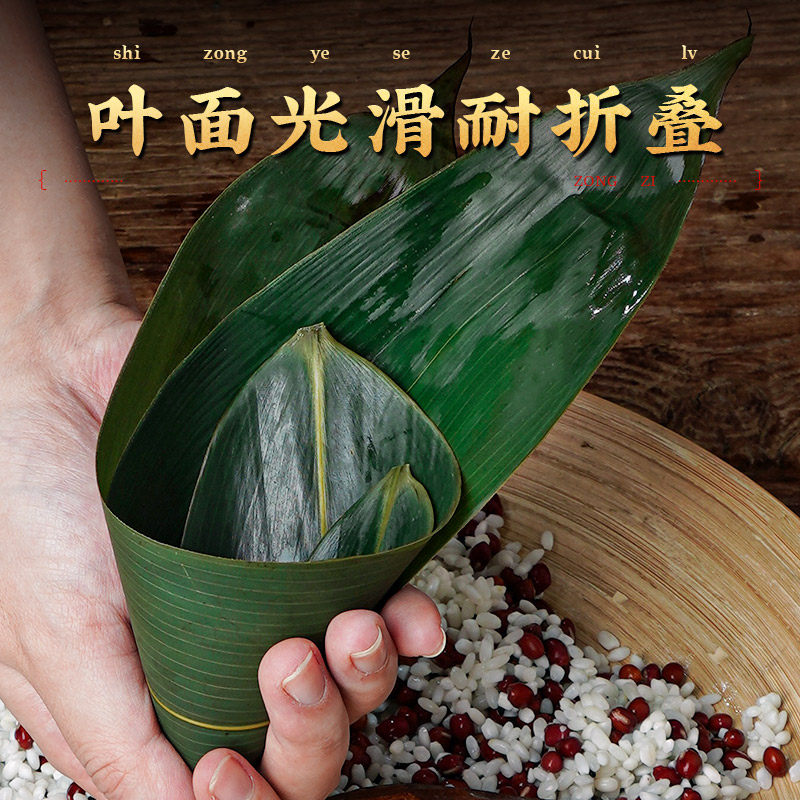 粽子鲜恩棕叶大码叶子包粽子滋粽叶竹叶家用大号粽子