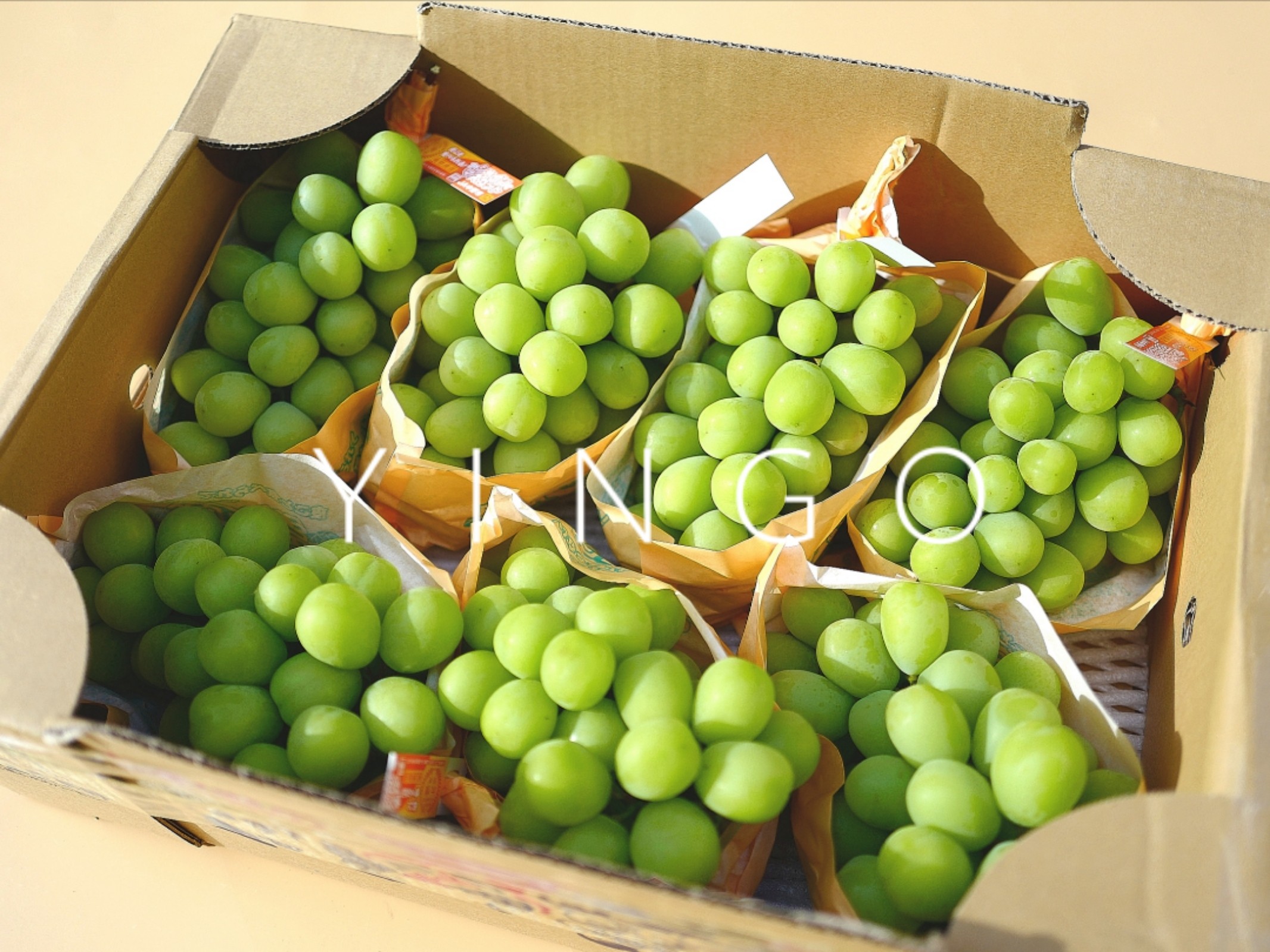 日本长野香印青提青印品种阳光青幻麝香葡萄玫瑰花香青提1串600g | 伊