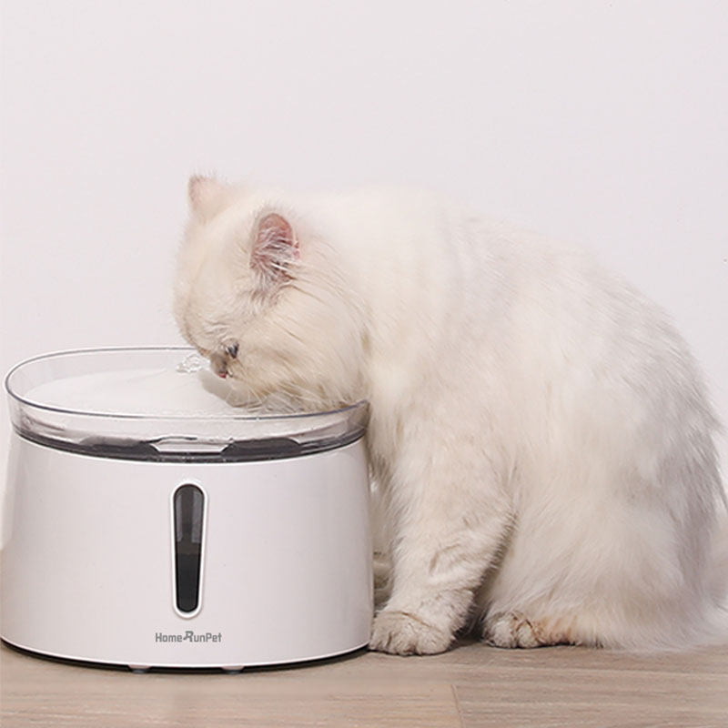 霍曼homerun猫咪饮水机宠物自动循环喝水活水狗狗饮水器