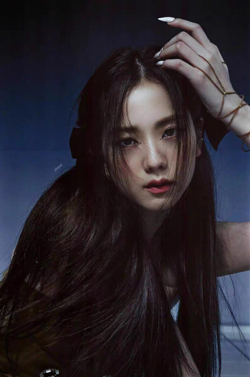 jisoo智秀同款丝绒蝴蝶结双马马尾发夹网红复古发饰