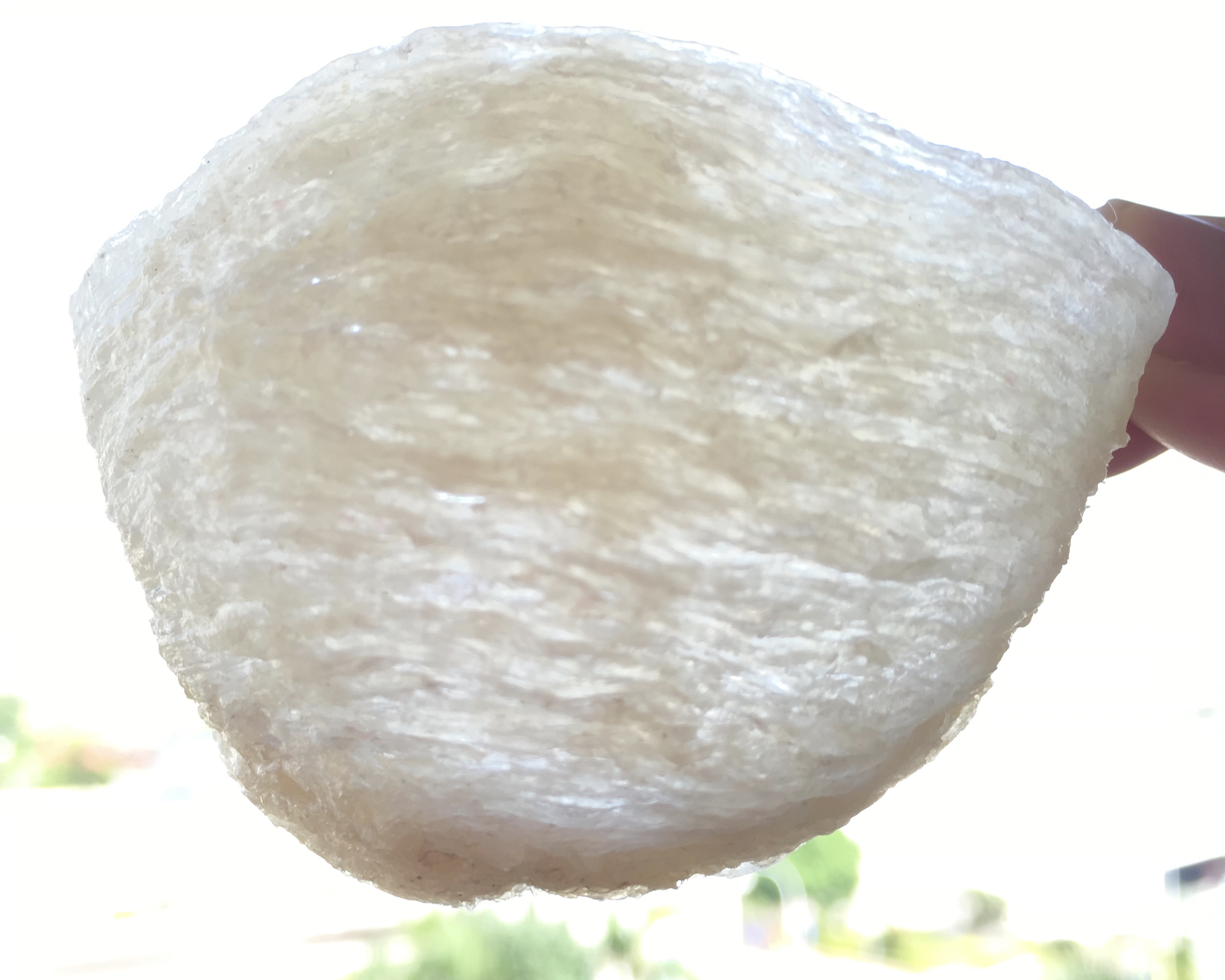 印尼燕窝正品 高级孕妇滋补品 进口金丝燕盏250g