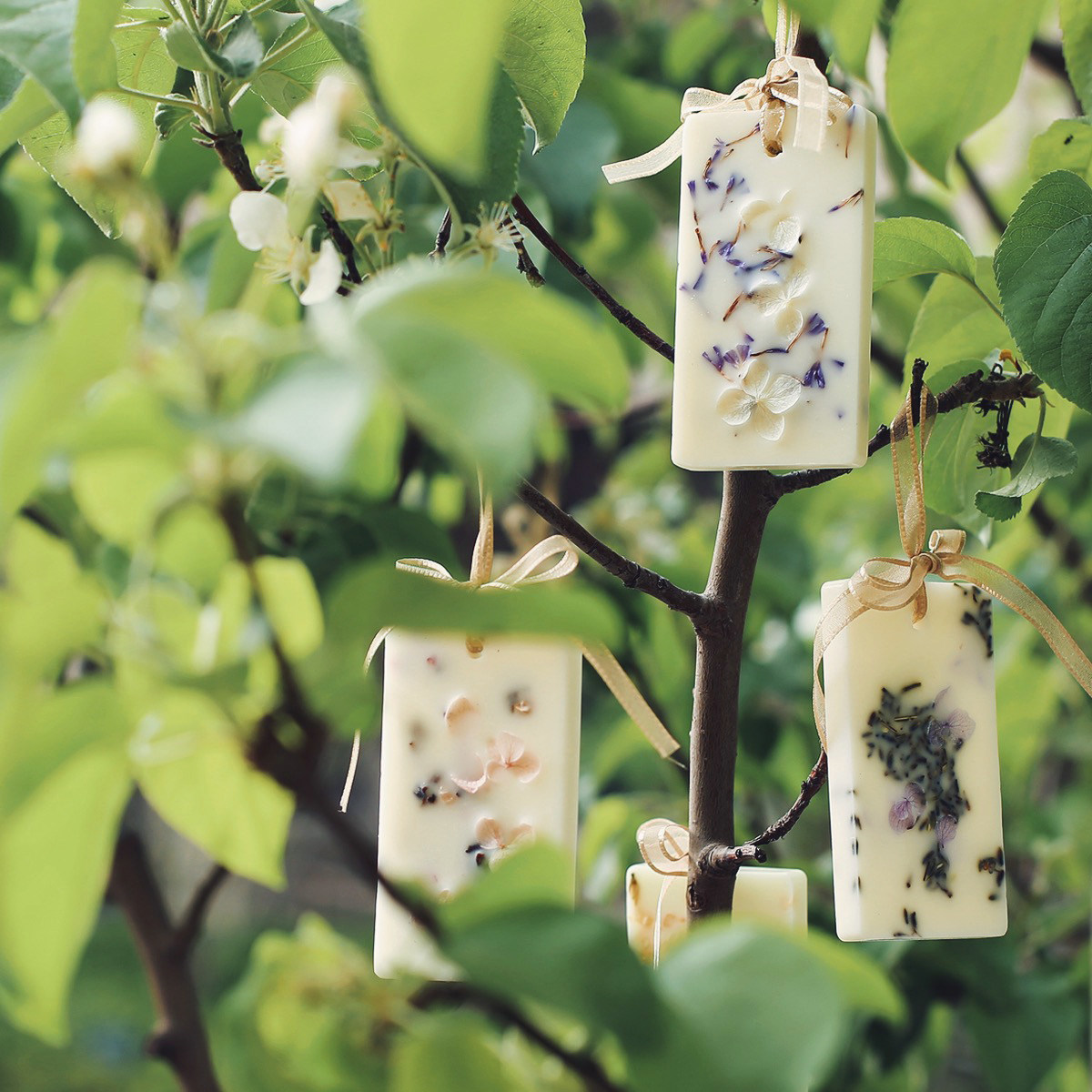 气味相投乌木沉香香味香薰蜡片衣柜挂香青柠罗勒香薰蜡烛