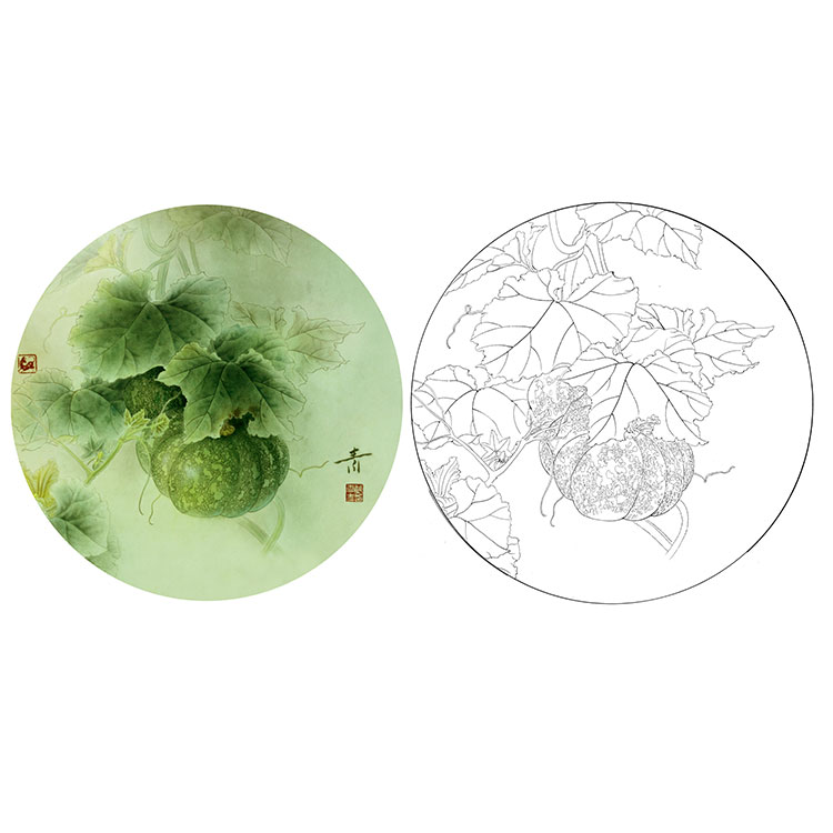 工笔画白描底稿实物勾线白纸打印稿龚雪青南瓜小品国画