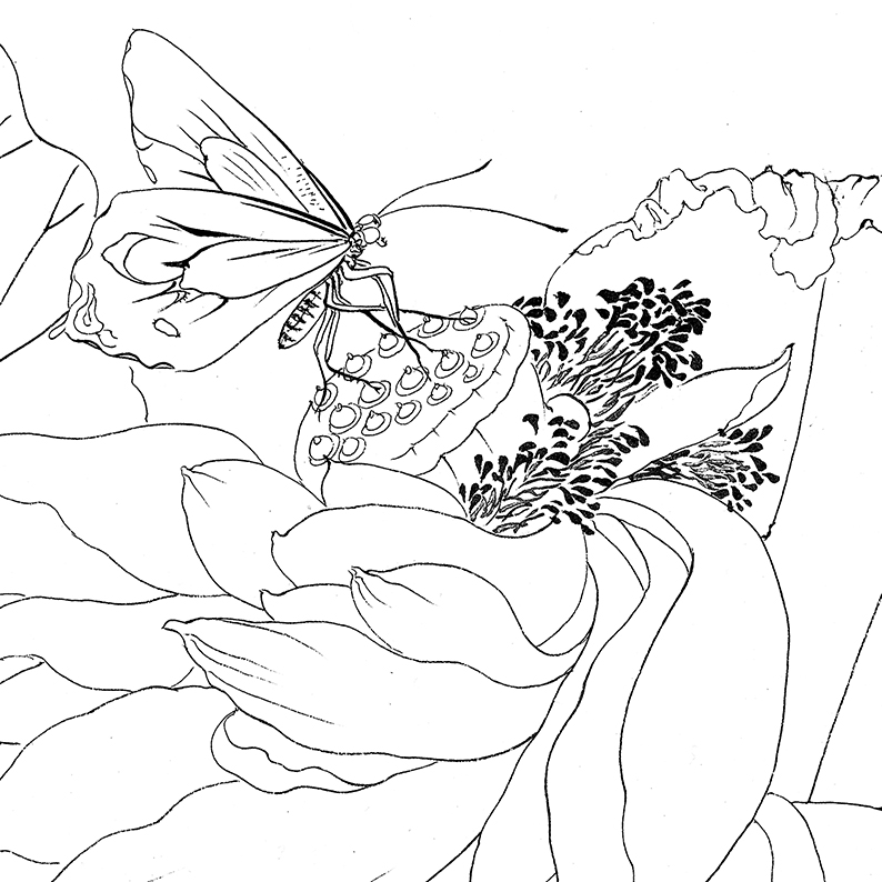 工笔画杨冬冬可选尺寸冬冬打印稿白描白纸临摹勾线国画