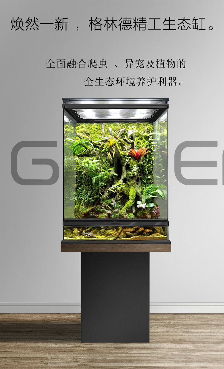 greendeep格林德 微景观造景热带植物生态雨林缸饲养箱 爬箱定制