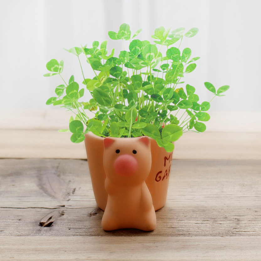 迷你可爱小盆栽办公室创意植物小花农宠物diy盆栽儿童种植玩具