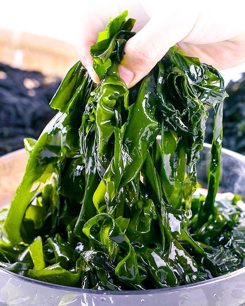 裙带干货特级海菜儿童脂肪无盐免洗螺旋藻韩式裙带菜