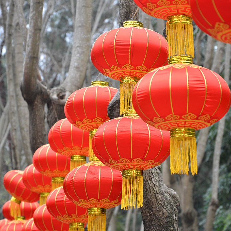 大红灯笼挂饰户外防水2020新年春节大门灯笼一对装饰结婚制作广告