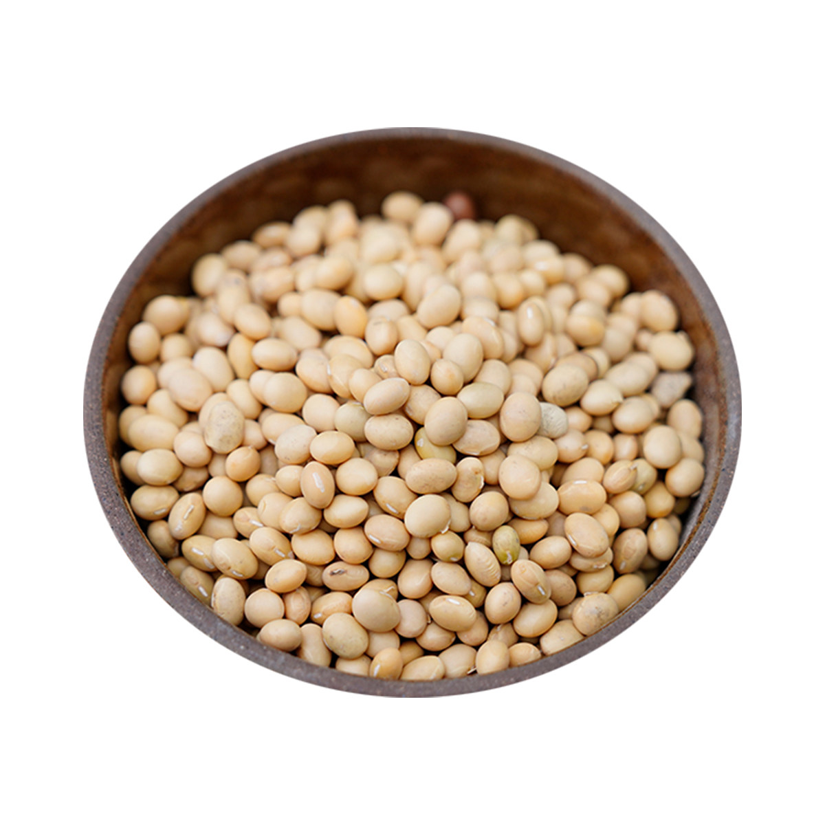 晚桔椭圆扁形品种小黄黄豆豆浆豆腐均可味浓黄豆