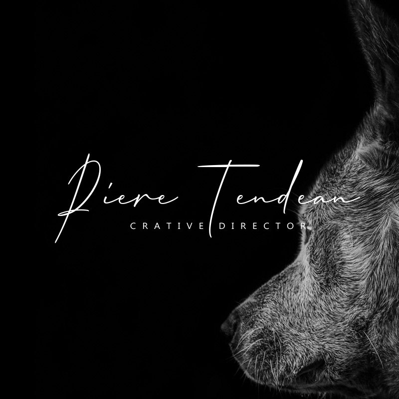 高端创意摄影师高清水印logo写真大片旅行照片商标logo设计