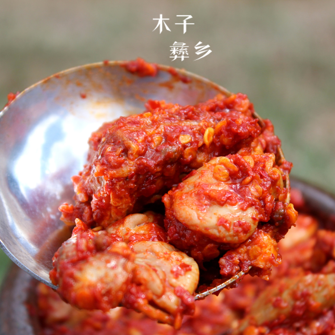 正宗味道云南大理特产鹤庆猪肝鲊 辣骨头鲊农家自制腌生500克 包邮