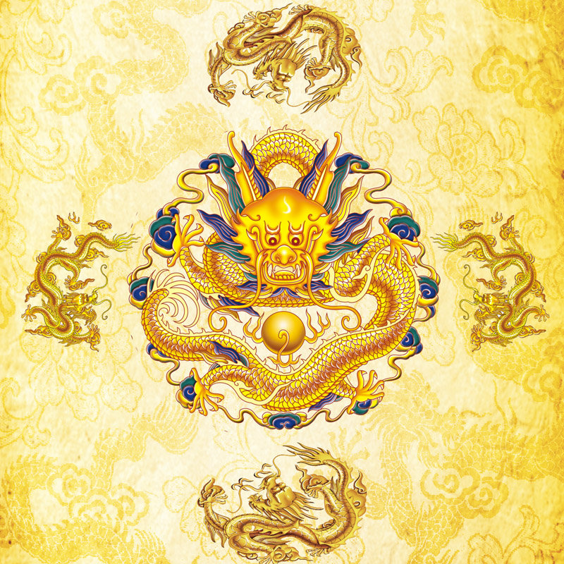 龙画五龙卷轴挂画中国龙金龙戏珠玄关客厅办公室国画