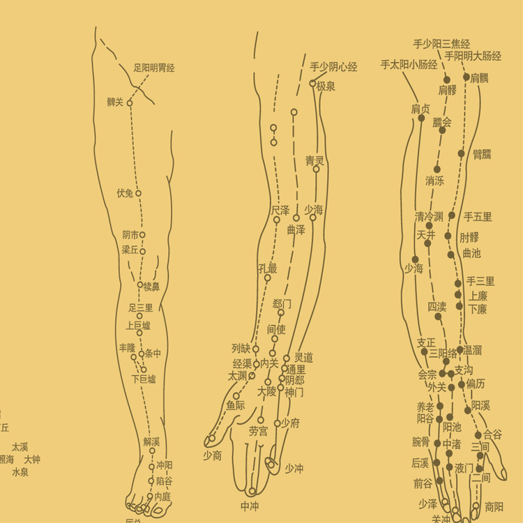 中医十二经络图丝绸画 精品人物穴位挂图 养生文化国画卷轴画定制