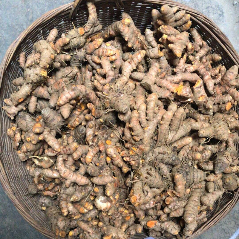 广西新鲜小黄姜野生姜黄生姜药用姜产后调节月子姜染色姜染黄米饭