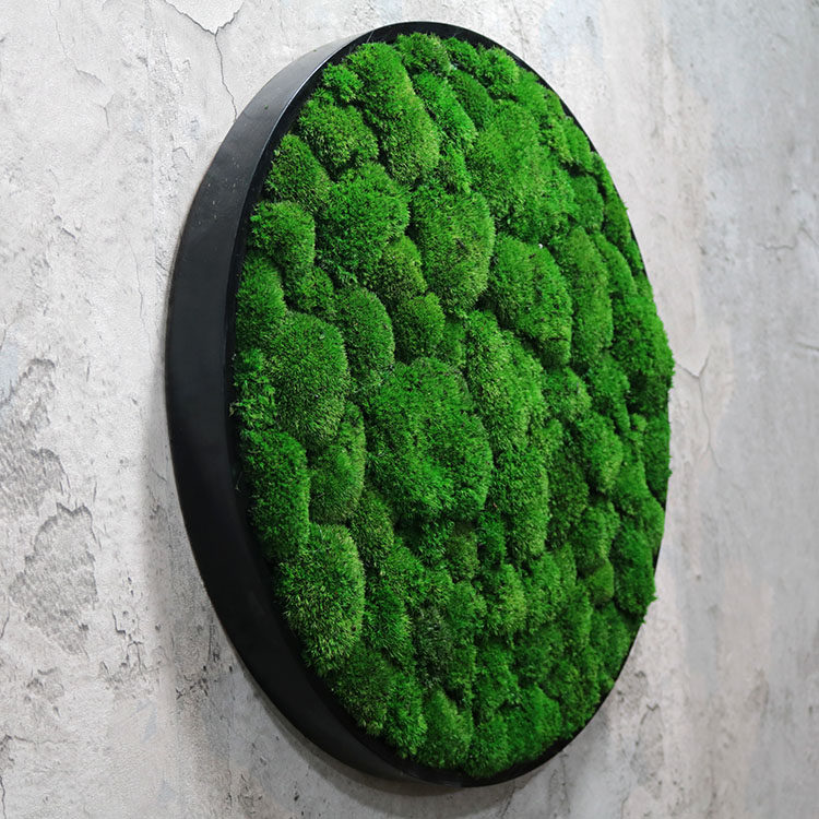 植物青苔壁挂永生田园苔藓墙面装饰定制花卉壁饰