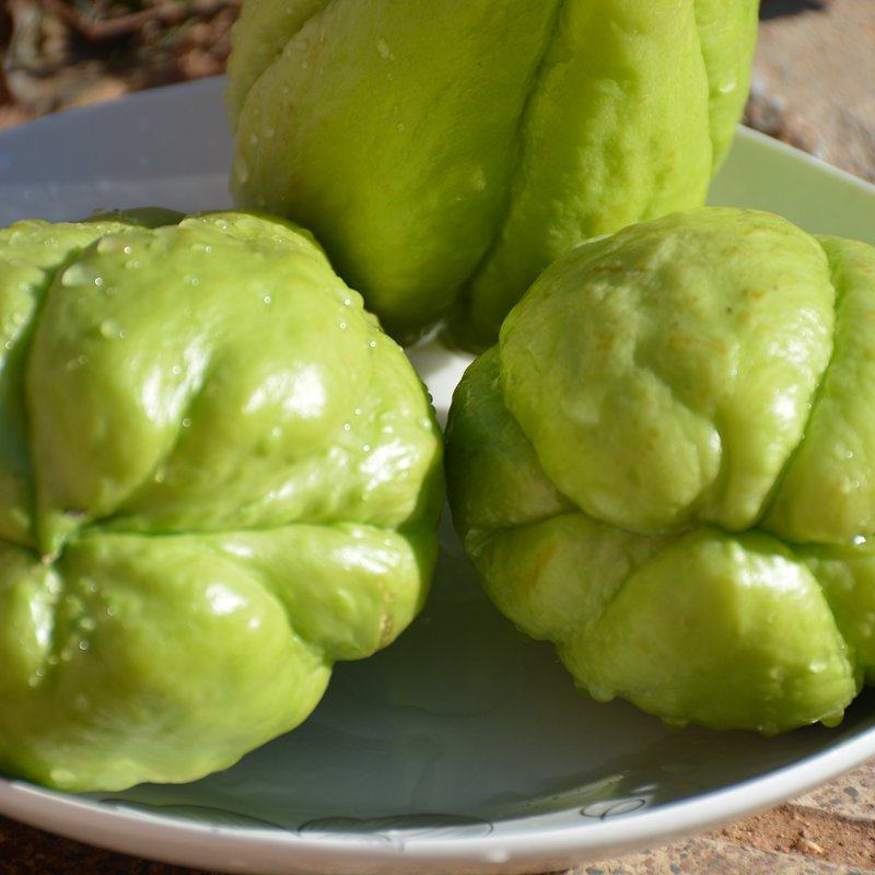 露天应季蔬菜佛手隼人安南南瓜寿瓜热炒凉拌其它