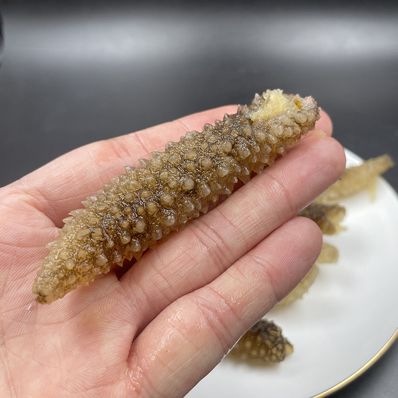 海参干货小刺参淡刺秃参白刺参野生海鲜水产海参