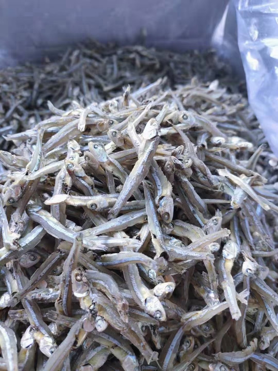 新款海特产特级银线鱼干海燕鱼即干货500g包邮漳鱼干