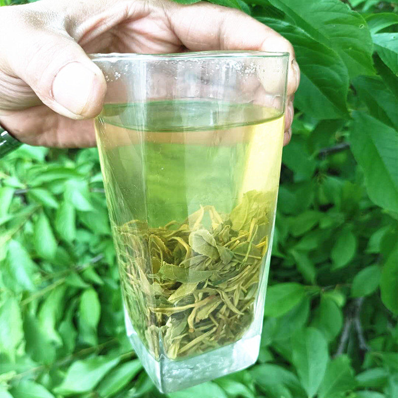 2022年新茶石台硒茶牯牛降高山野茶仙寓山富硒野生茶500g包邮