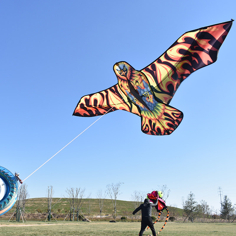 华筝烈火雄鹰风筝火焰老鹰成人中型简单易飞风筝