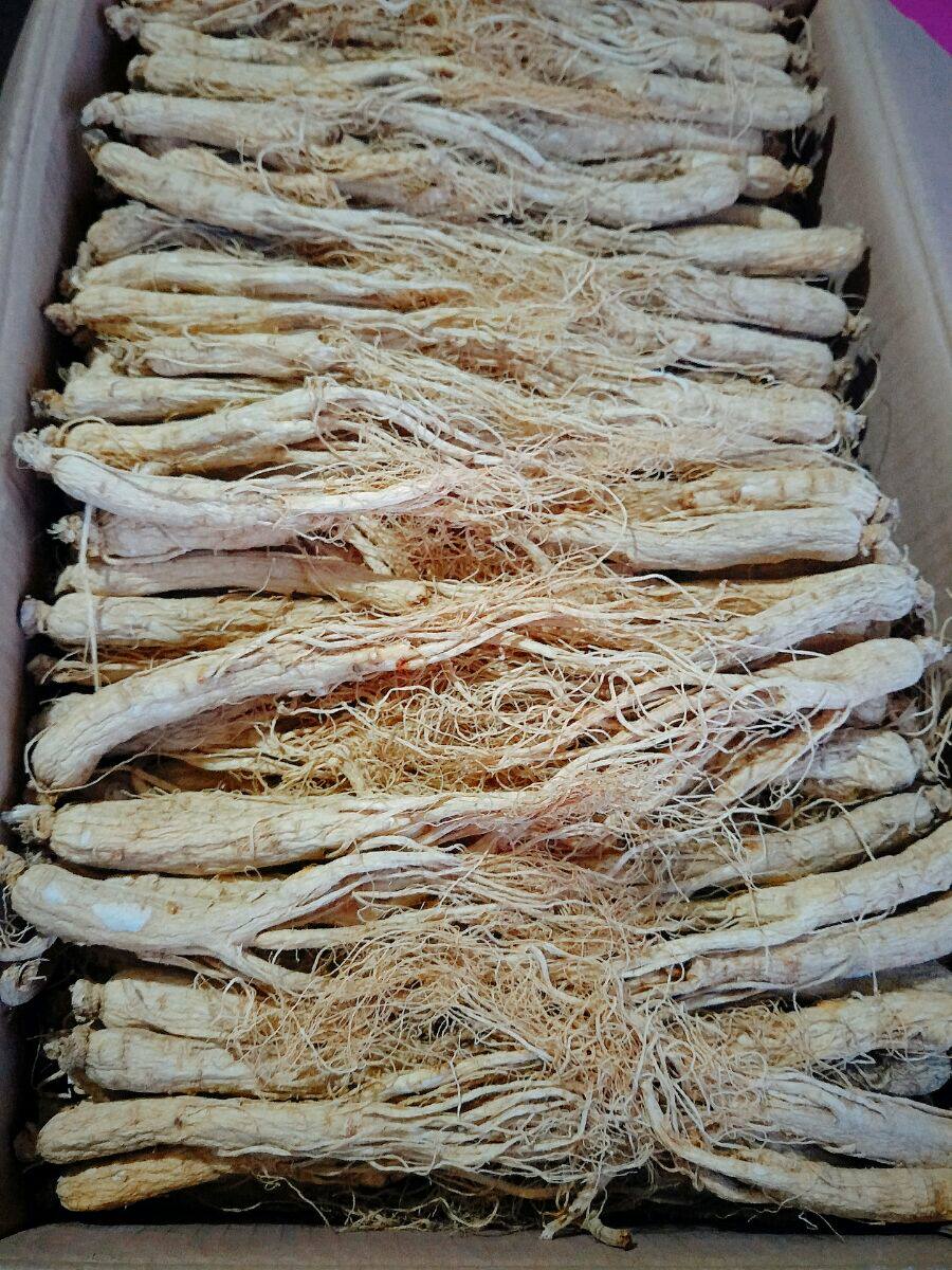 长白山白参生晒参人参一斤四五五十左右220元包邮送人参