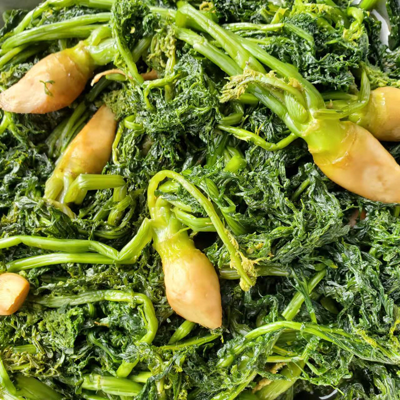 芥菜东北英子疙瘩樱子5斤其它