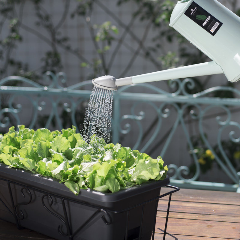 种菜神器家庭阳台菜盆蔬菜长方形花盆塑料长条花盆