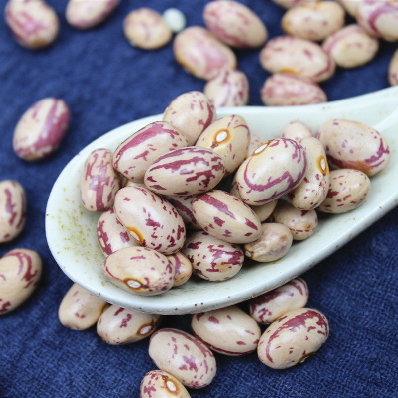 雀蛋500g新货云南农家自种金丝红花豆奶花豆其它
