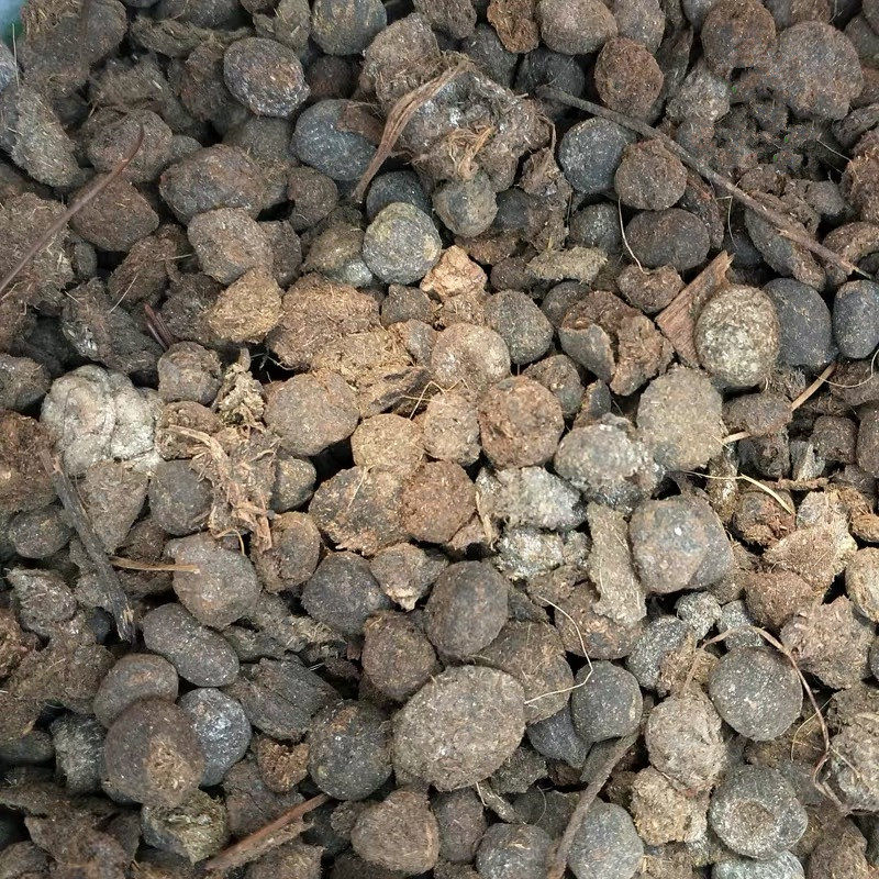 羊粪通用型花肥养花种花多肉植物园艺泥土种植花土壤花泥大包邮