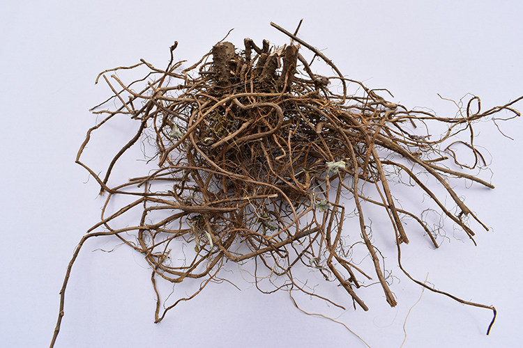 野生新鲜艾根艾叶根5月老艾根艾草根滋补养生煲汤中草药一斤包邮