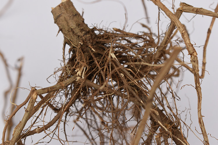 野生新鲜艾根艾叶根5月老艾根艾草根滋补养生煲汤中草药一斤包邮