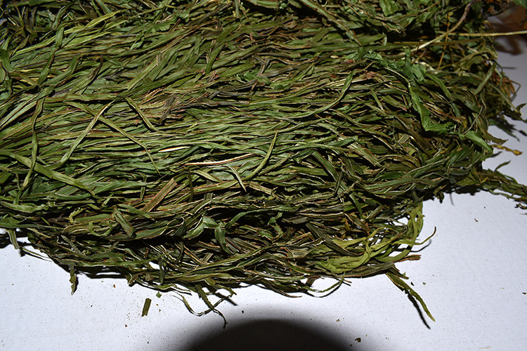 野生小叶凤尾草鸡脚草金鸡尾凤凰草井栏草鸡爪草干品包邮中药材