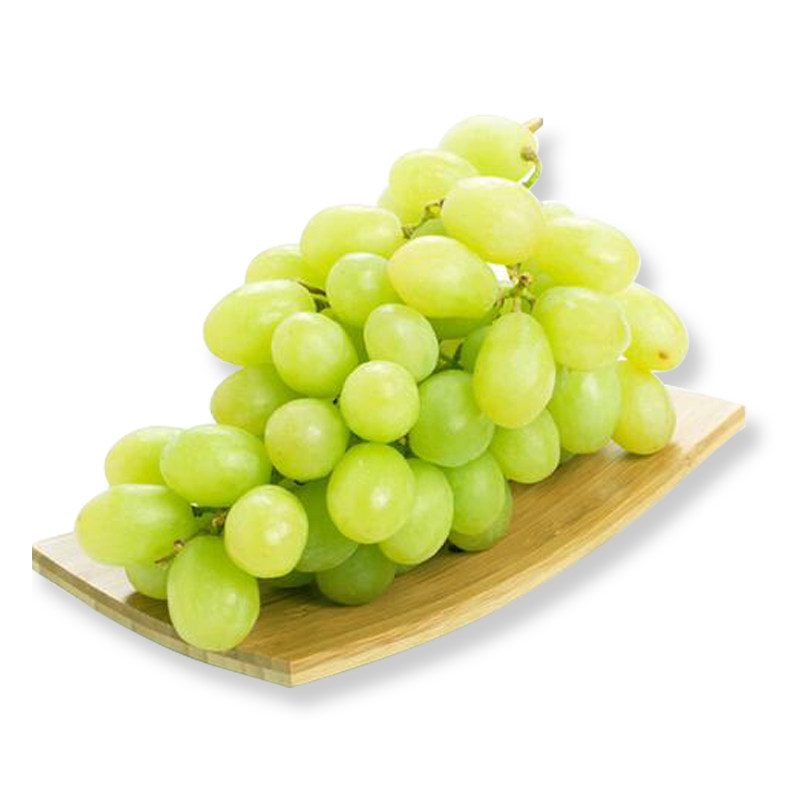 新疆无籽无核白葡萄提子青新鲜当季水果现摘5斤顺丰包邮