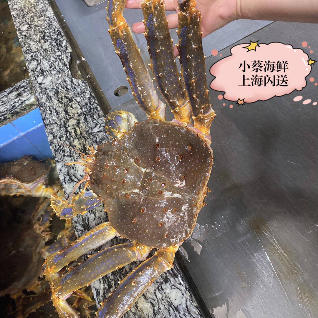 帝王鲜活阿拉斯加澳洲澳洲龙龙虾超特特大皇帝长脚帝王蟹