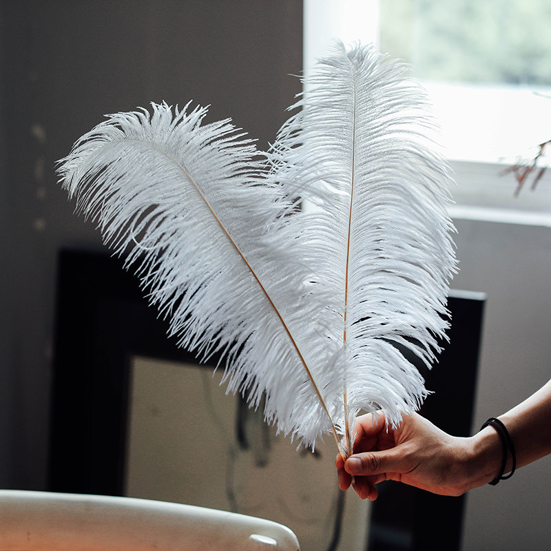 鸵鸟笨拙象真羽毛手工diy网红ins风生生日摆件