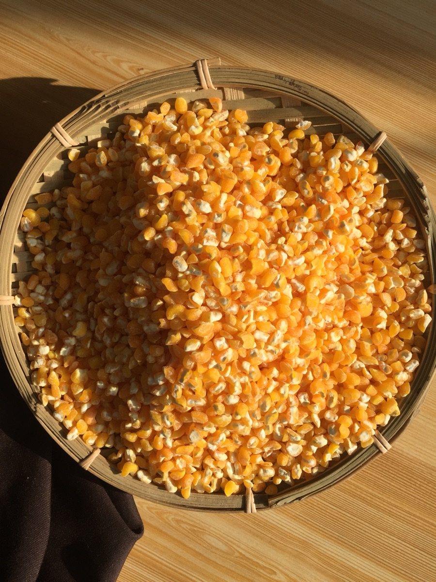 碴子2020新碴子东北粘大笨大农家香糯玉米大碴其它干货