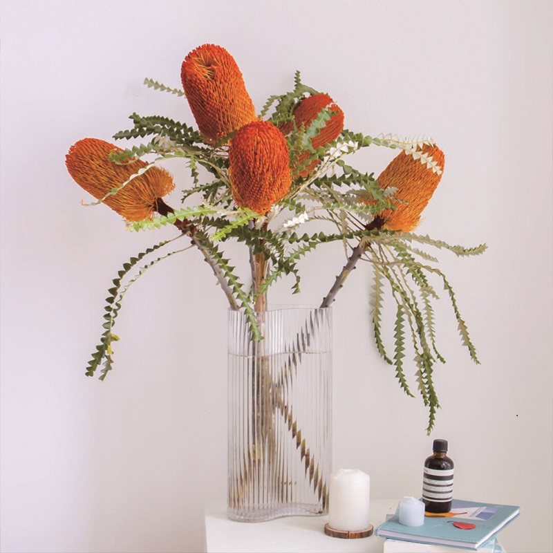 佛塔班克干花进口高端花材家居帝王干燥摆设干花