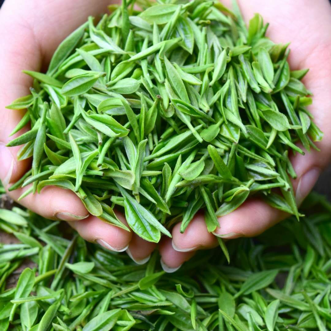 湖北特产2021新茶高山云雾十堰竹山竹溪绿茶其它绿茶